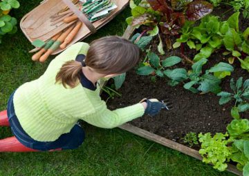 Sed ut perspiciatis unde om.