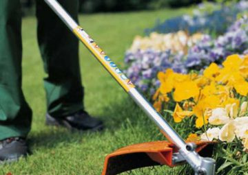 But I must explain to you how.